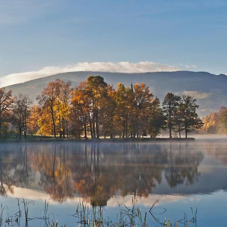 Pokoje Bukowiec Folwark I Park Buitenkant foto