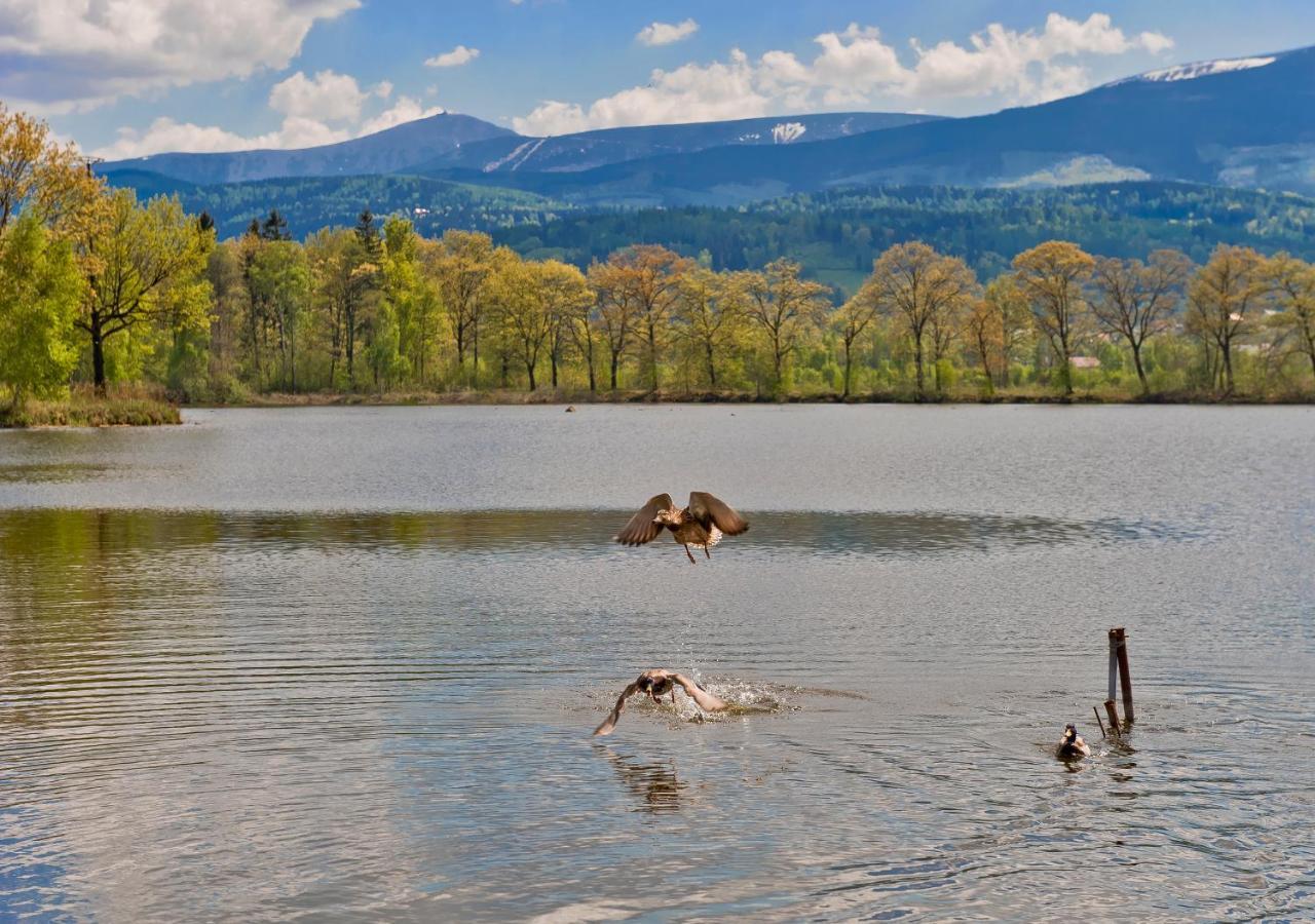 Pokoje Bukowiec Folwark I Park Buitenkant foto